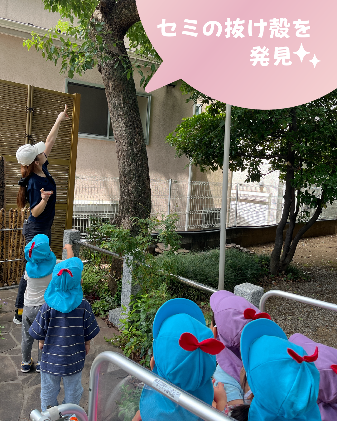 セミの抜け殻を発見👀✨