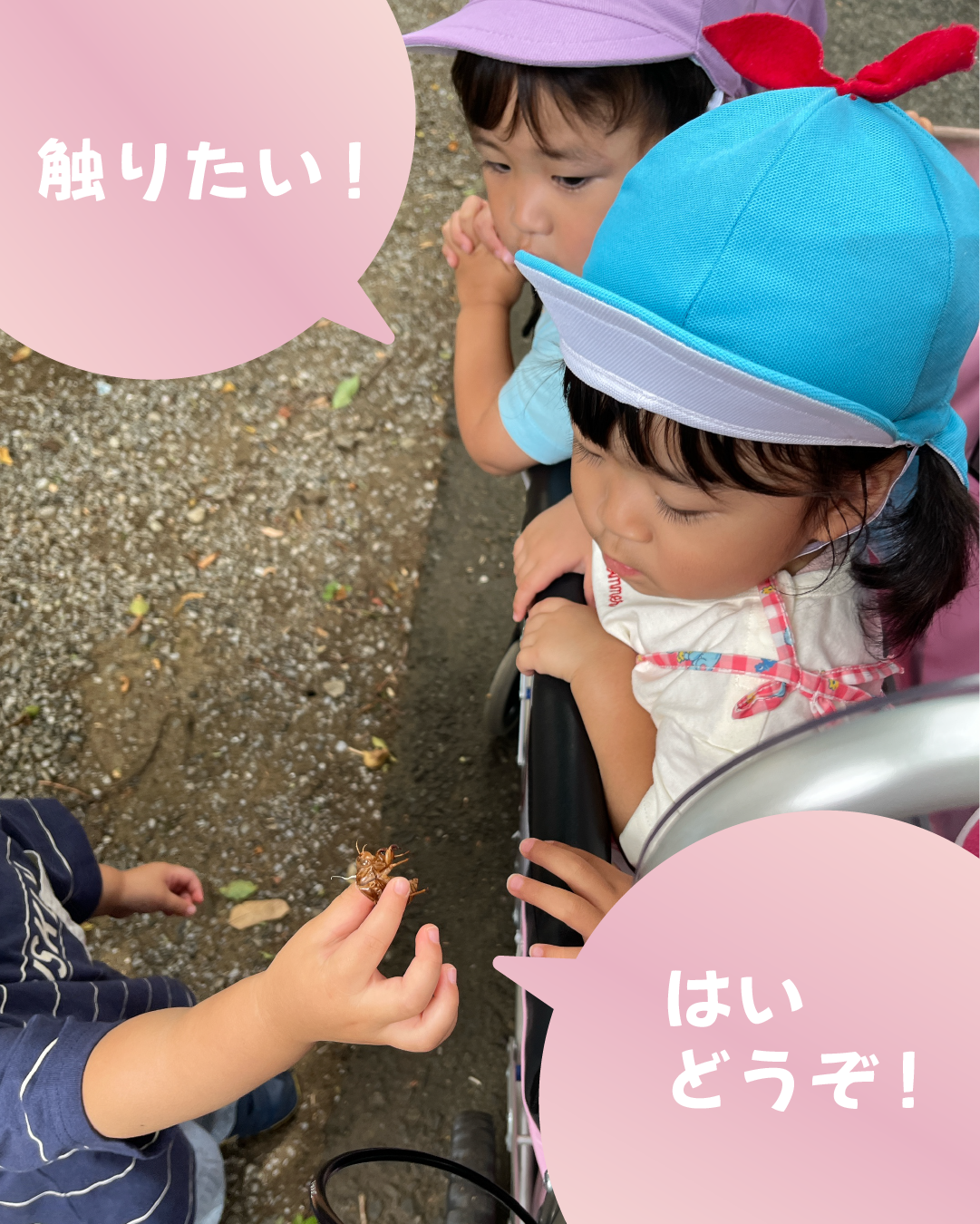 触りたい！／はいどうぞ！