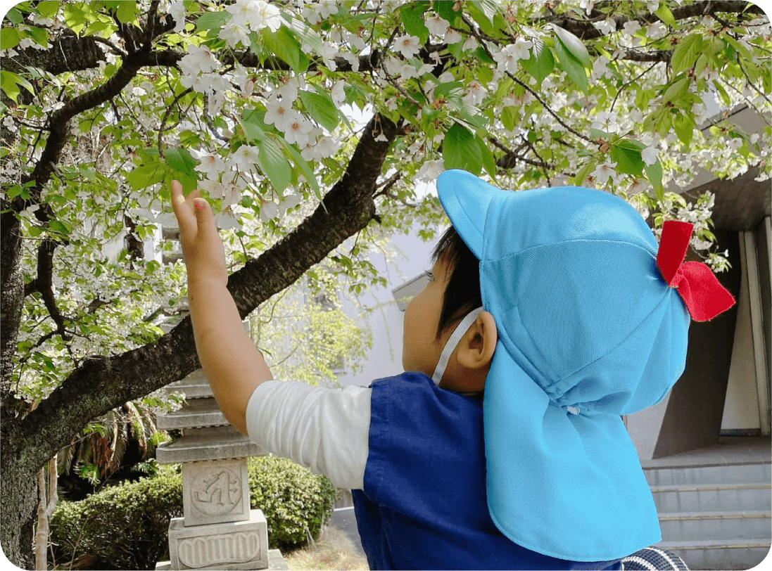 4月:お花見